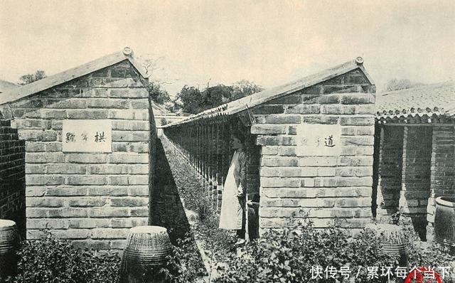 活活|明清读书人考科举有多苦?考场上被活活冻死