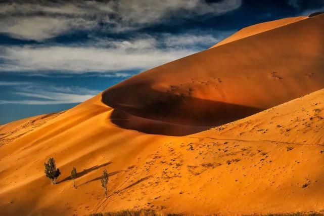 额济纳旗|【阅读】有一种心动,叫额济纳的秋天