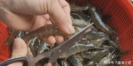 蛋白质|大虾这样做才好吃,3分钟教会你,外酥里嫩,上桌就被抢光