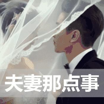 茅草街|益阳南县：非法捕捞零容忍，茅草街镇四人被查