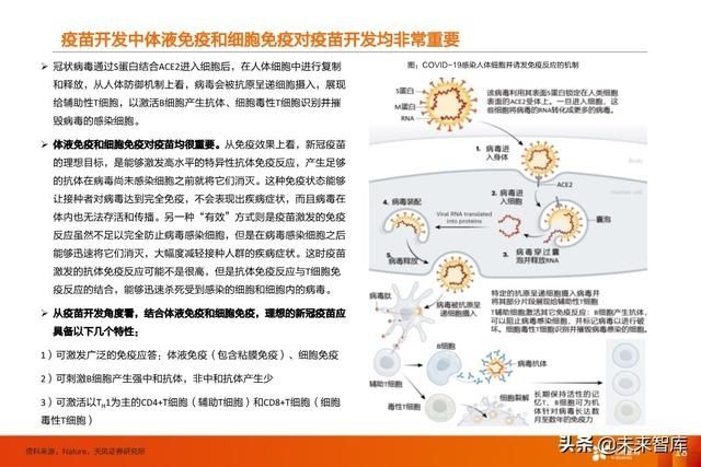 临床试验|疫苗行业深度报告:新冠疫苗谁将拔得头筹