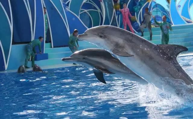  交流|本科交流交换助力背景提升，加州大学洛杉矶分校本科交换项目体验