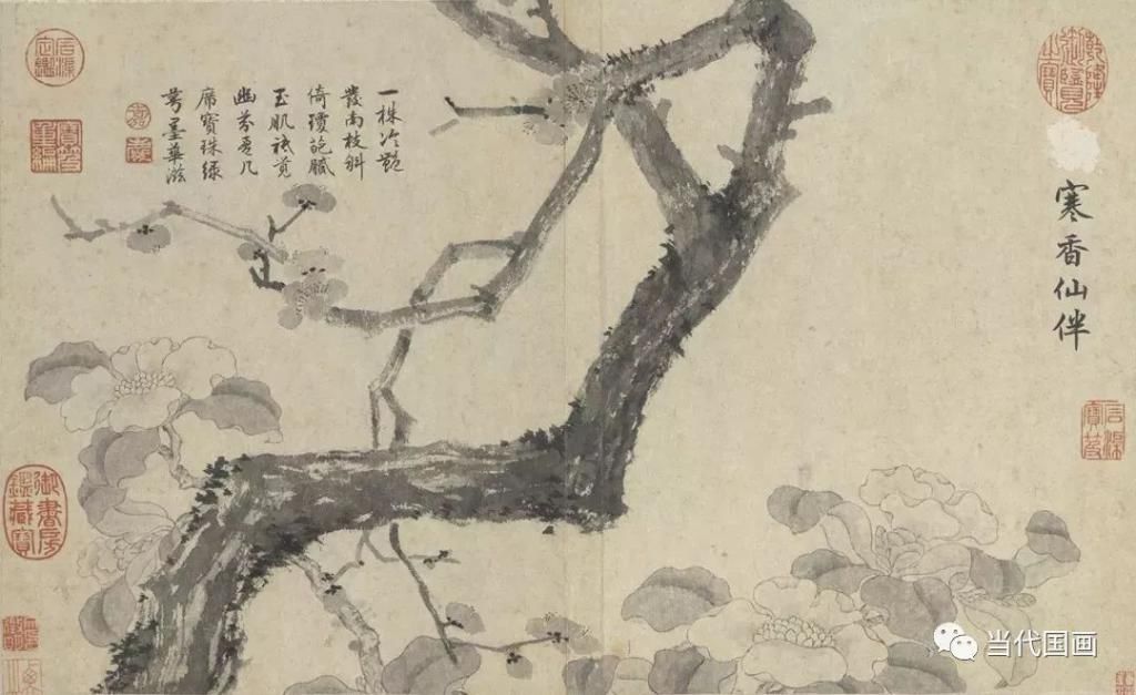 欣赏|明 文徵明 花卉册页欣赏