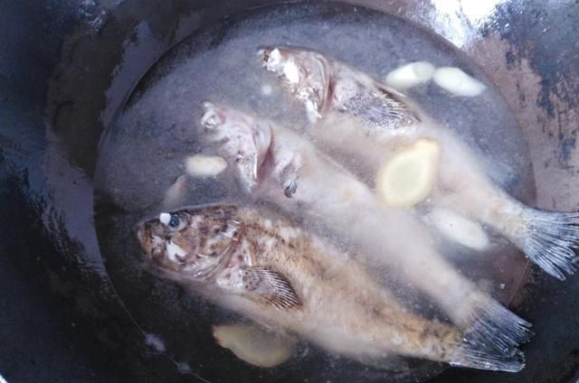  保证|炖鱼汤的时候，牢记这3个小窍门，保证鱼汤鲜美，一点都不腥