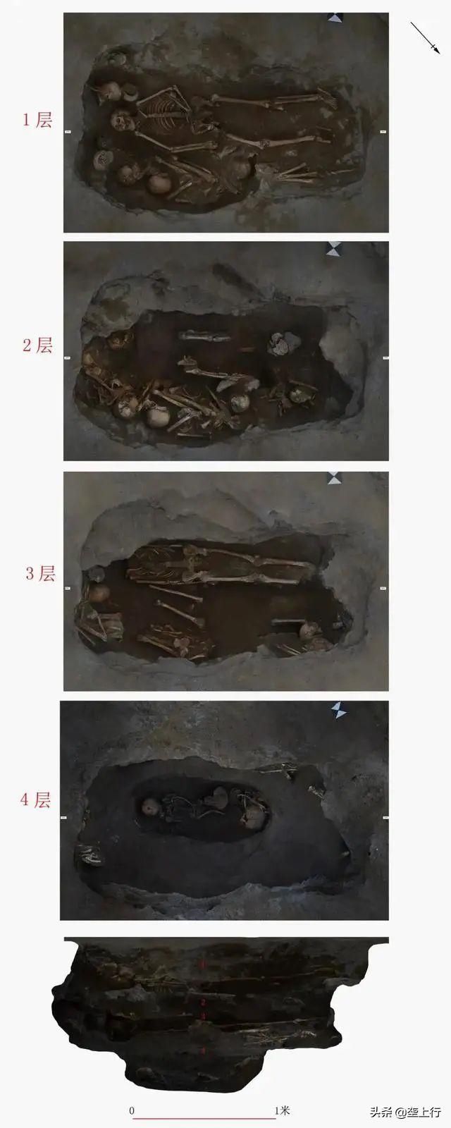  罕见|罕见！学校足球场发现3000㎡古墓，单坑19颗头骨