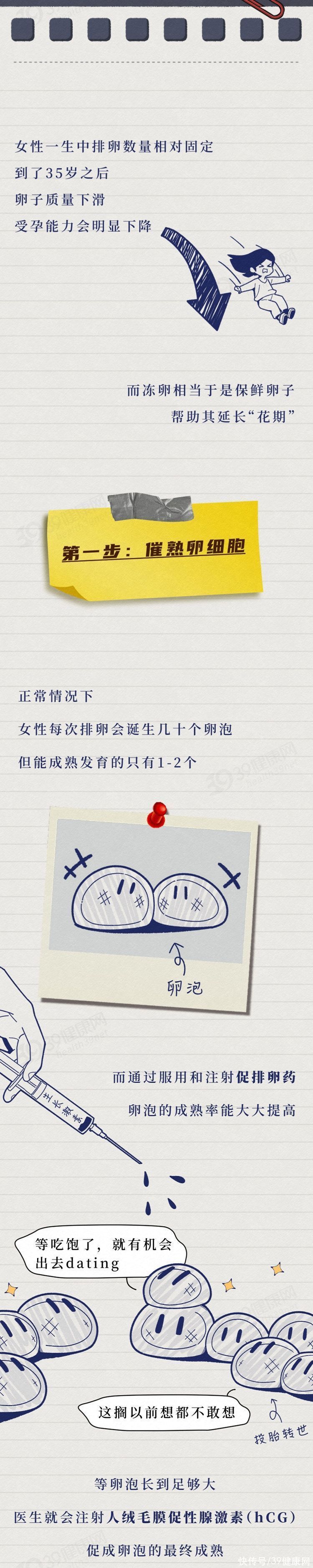 为什么冻卵对卵子伤害很大(年龄越大，卵子越差！大龄的单身女性决定冻卵后，都怎样了？)