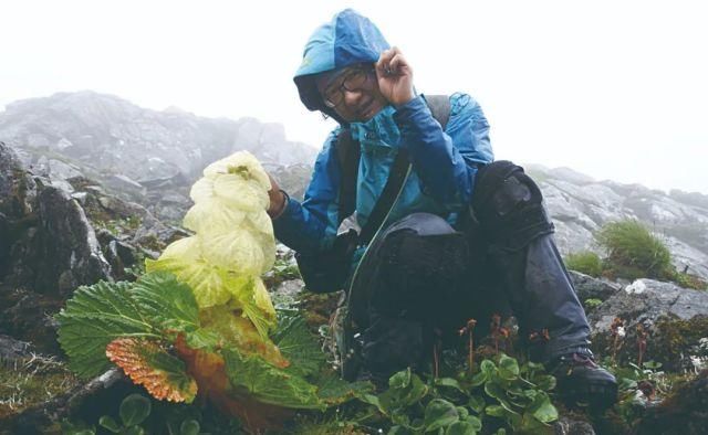 生长|云之南，一个生生不息、万物生长的地方