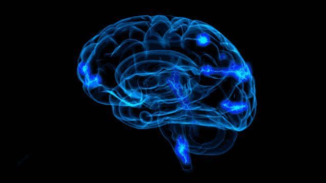 知识|夜宵吃了很多,为什么第二天早上反而更饿?涨知识了