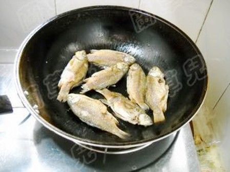  优质的鲫鱼|这种鱼5块钱一斤却没人要，其实营养非常丰富，炖一炖香极了