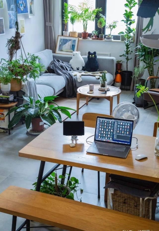  友钱的家|现在的年轻人，不住300㎡要住30㎡？