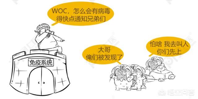  肌肉|为啥狂犬病无法治疗？被咬伤后又该咋处置预防狂犬病？清晰明了