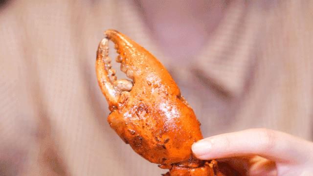  举办|我飘了！竟然想举办杭州版《浪姐》？！！