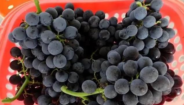  顺庆区|国庆8天哪里耍？小编带你玩转大美南充！