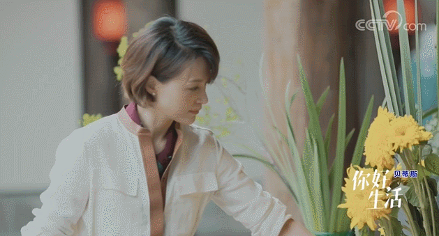  生活|这档被埋没的神仙综艺，值一个热搜！董卿插花比主持更美