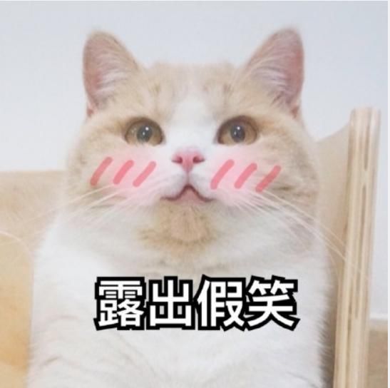  硬糖|一个作、一个糊、the9和硬糖少女谁会更抗打？