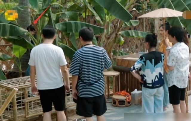  张子枫|谁关注彭昱畅谁在乎爬椰树？你去不去一目了然