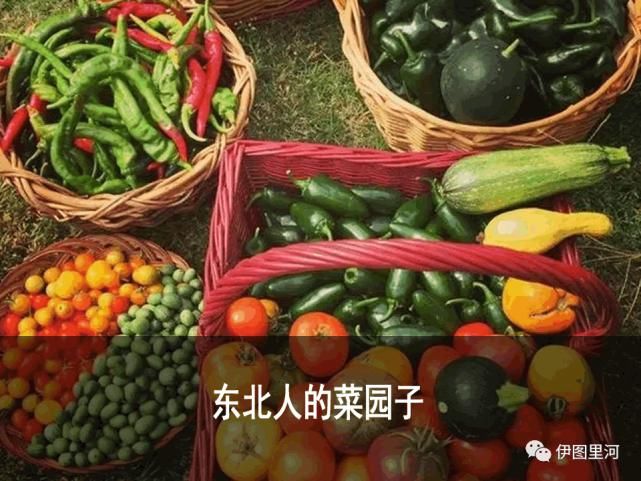 整治|牙克石交警动真格！整治行人、电动车交通违法......处罚+曝光！