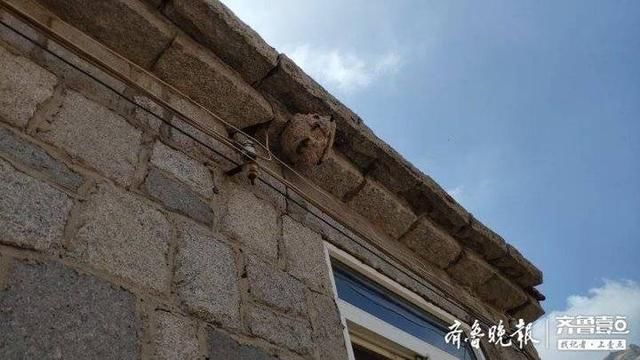  社区网格员|马蜂窝安在居民屋檐下，消防员十几分钟“火烧连营”