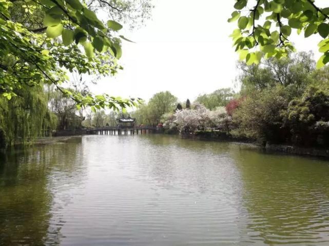 回来|宝鸡！我回来了！