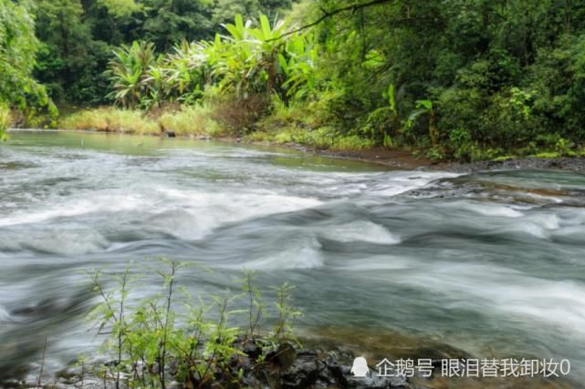  横财|八月开始，横财不断，贵人提携，富贵一整年的生肖
