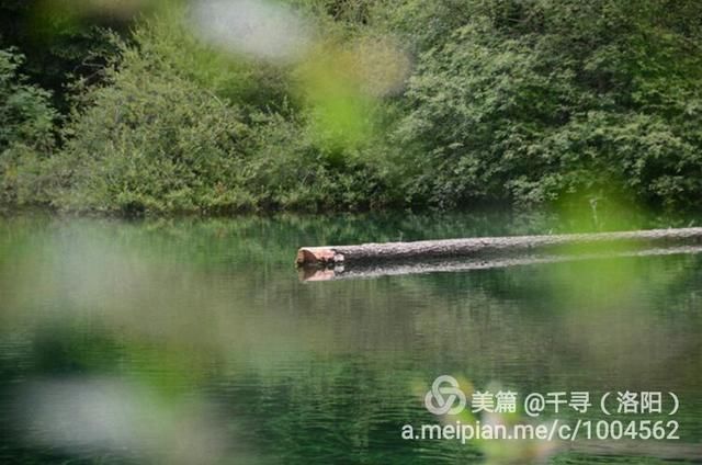  甘南|甘南，穿行在213国道上的雪月风华