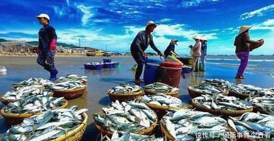 罗氏虾|越南“白脚虾”多到吃不完,国内一斤50元,想卖到中国却被拒绝