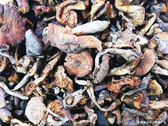 老板|隔着屏幕都觉得香的榛蘑炖大鹅,老板说:这是妈妈做出来的味道!