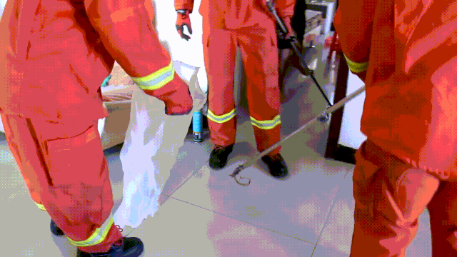  朋友|夏季【蛇】出没丨看“蓝朋友”如何将其治服