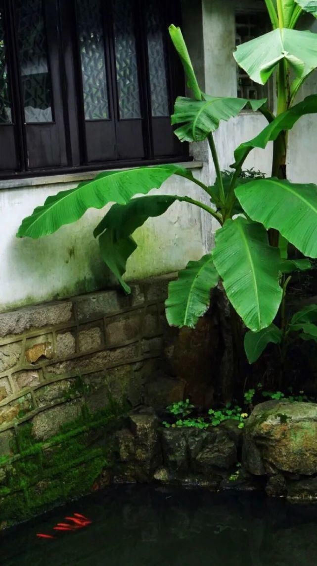 静心|风雅之味,静心解暑