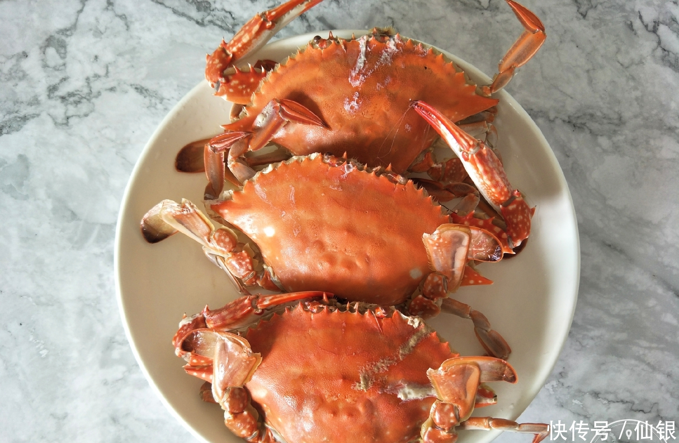 选出|买螃蟹时,公的肉多还是母的?教你1招,选出好吃螃蟹