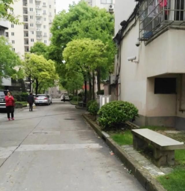  东城校区|上海这所小学越来越热门！今年缩招一个班，但户籍要求不高【海桐小学】