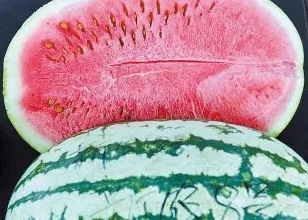 资料图|洛阳人盛夏念念不忘的12种美食,看到第一个就饿了