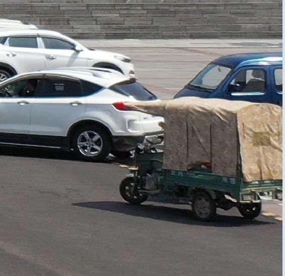  游客|临颍：一名游客正在朝阳门拍照，一扭头包没有了