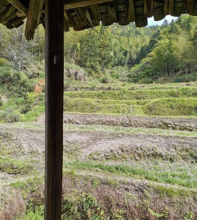 他家|第一次回老公农村老家, 被他家房子吓到了, 这样的房子你们谁见过