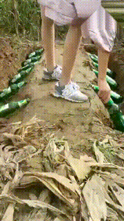 GIF|搞笑GIF:跟着这妹子二里地了,我该怎么上前打招呼呢