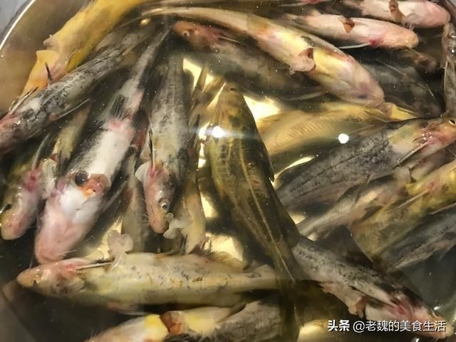 细嫩|酱焖嘎牙子，肉质细嫩，味道浓郁鲜香，做法简单，只需几分钟。