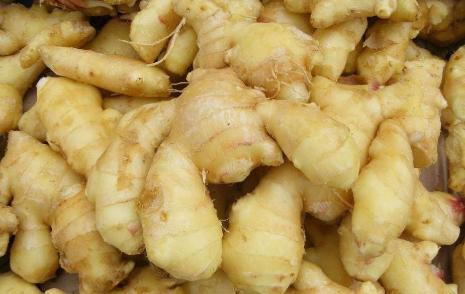  新鲜|生姜放久了会干瘪？教您4招，不干瘪不长芽，放一年都新鲜