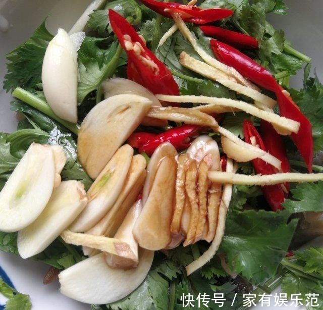 开胃|香菜拌海参，酸辣开胃，咸鲜入味儿