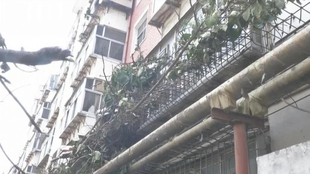  凌晨|凌晨一声巨响，这几家人后半夜就没睡好觉！