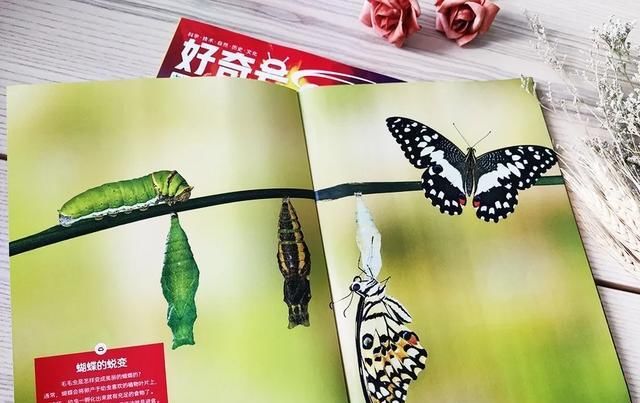  美国|美国顶尖儿童杂志授权，满足6-12岁孩子所有好奇心