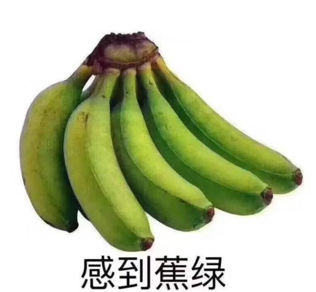 不停|蒋方舟:半夜两三点还在不停刷手机的年轻人,他们到底图什么