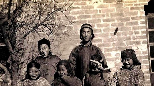 方仁实家|一棵香椿树,三条人命案,县令慧眼辨凶,不肖子孙被斩首示众