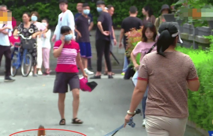 到直|赵丽颖被狗吓到直跑,狗主人跟她道歉,从她的回应方式看出人品!