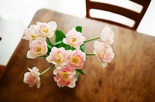  尺度|人生的价值，即以其人对于当代所做的工作为尺度