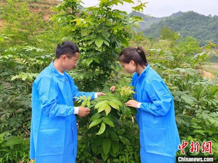 促科研成果“落地”：南京高校“智囊团”高值化利用助农发展