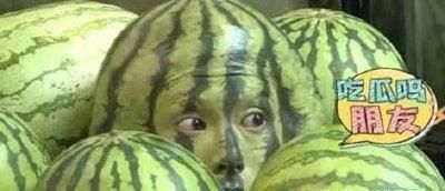  满满的哥哥|芒果台再出爆款综艺！观众看完评价：下一个《极限挑战》来了！