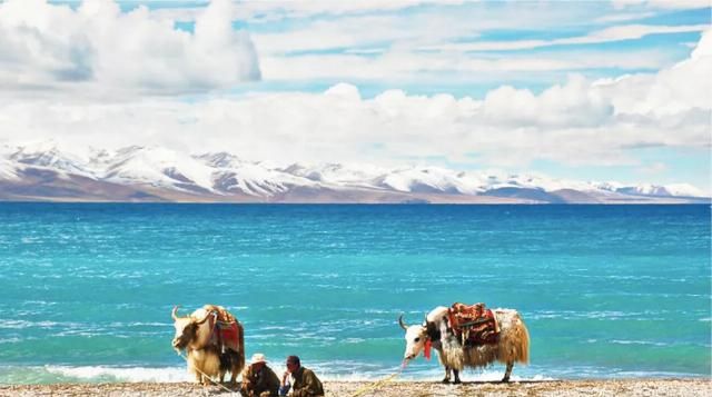 想象|不必远赴澳大利亚就能拥有的粉红湖、空中草原,西藏之西比想象中更惊艳!