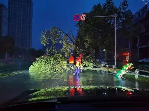 温岭|迎战台风“黑格比”，温岭全城在行动！