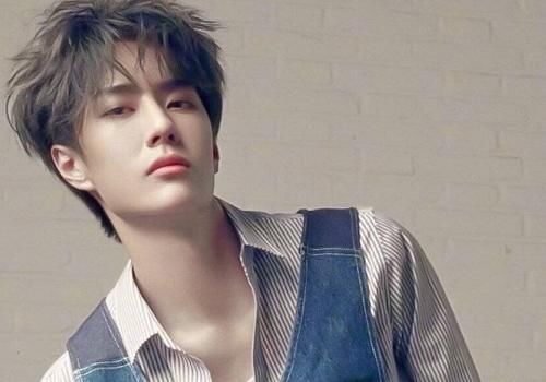  成员|2020亚太区最帅100张面孔：肖战和王一博同入围，R1SE有1位成员