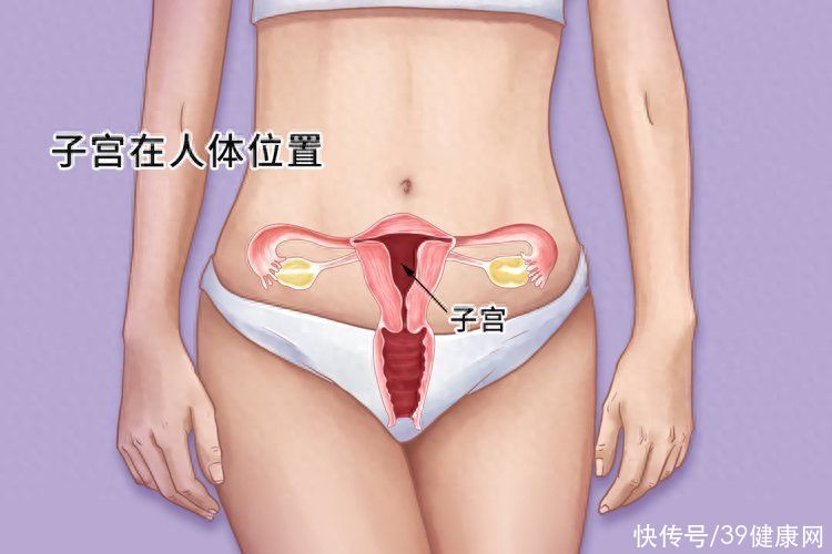 女子两个子宫隔26天又生双胞胎(25岁女性同房后，查出两个阴道，两个子宫！生出来的都是双胞胎吗)